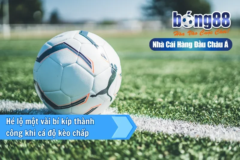 Hé lộ một vài bí kíp thành công khi cá độ kèo chấp