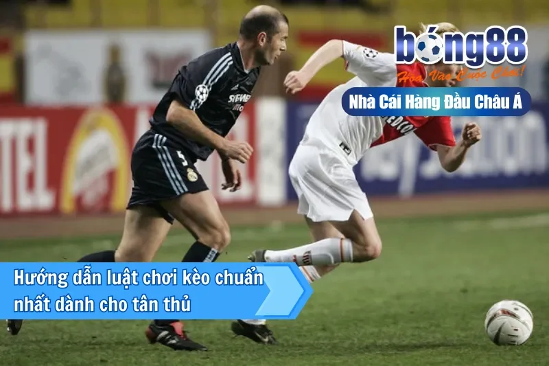 Hướng dẫn luật chơi kèo chuẩn nhất dành cho tân thủ 