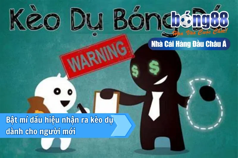 Bật mí dấu hiệu nhận ra kèo dụ dành cho người mới