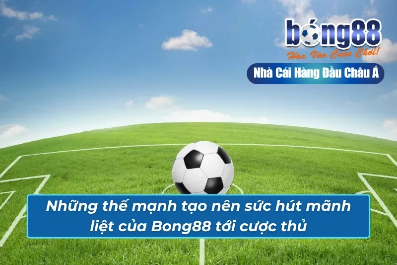 Ưu điểm vượt trội tạo dựng thương hiệu